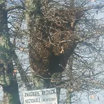 Bio Il Cavone *
