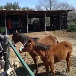 Séjour à la ferme Bio Il Cavone
