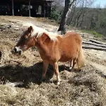 Bio Il Cavone *