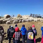 Bio Il Cavone Séjour à la ferme