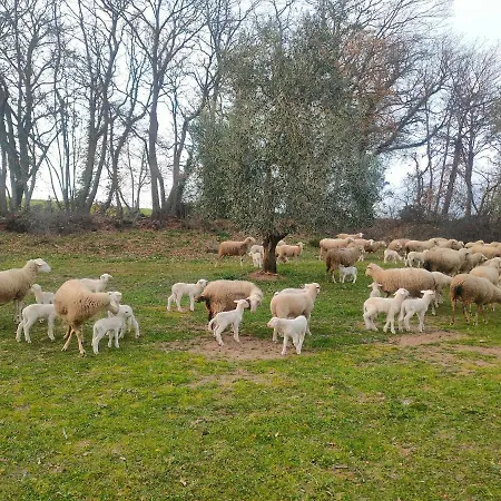 Bio Il Cavone Feriegård Sovana