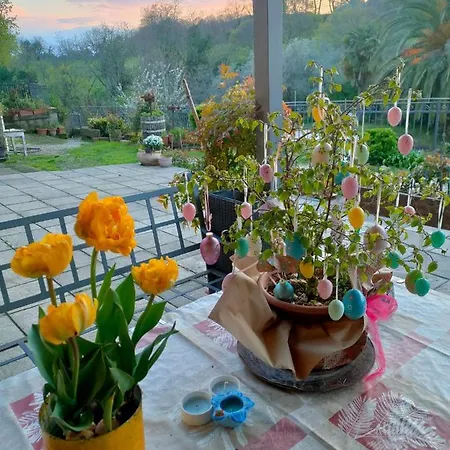 Farm stay Bio Il Cavone *