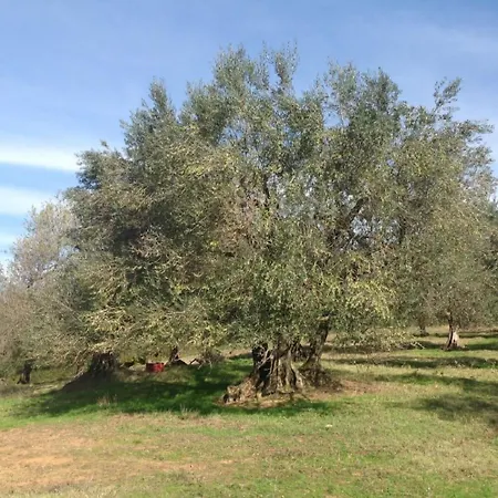 Bio Il Cavone