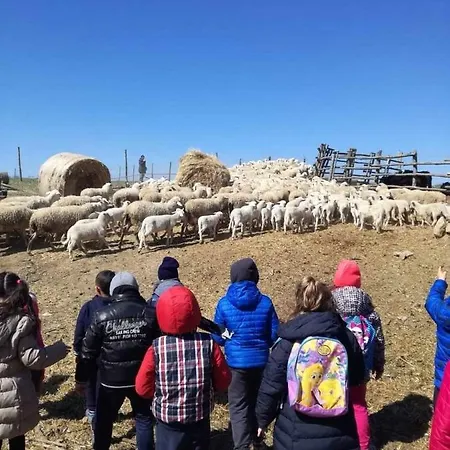 Bio Il Cavone Farm stay