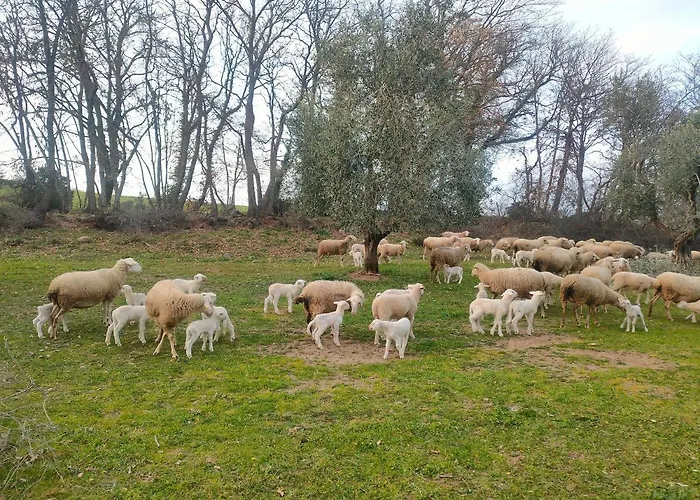 Bio Il Cavone Feriegård Sovana