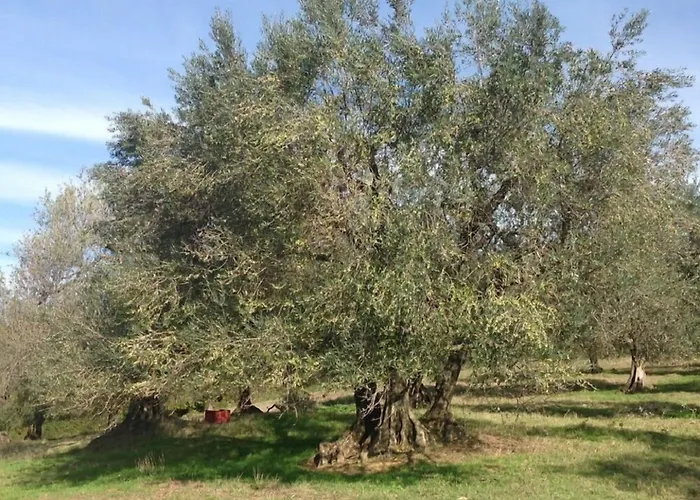 Bio Il Cavone