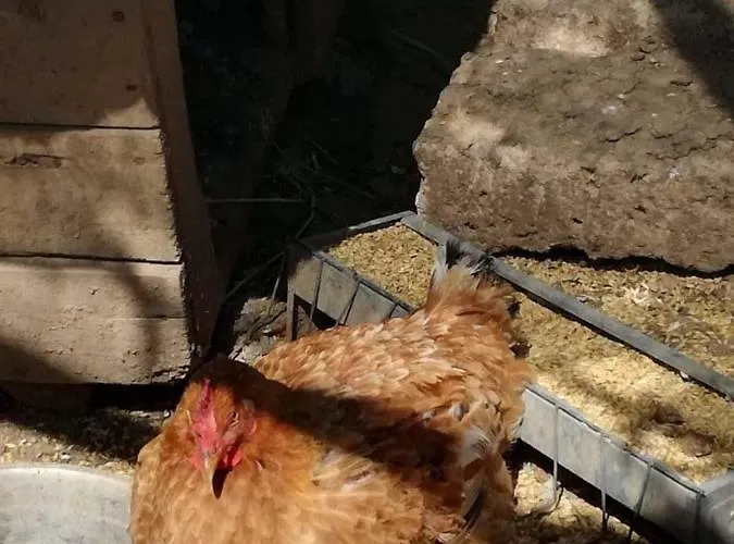 Alojamento de Turismo Rural Bio Il Cavone Sovana